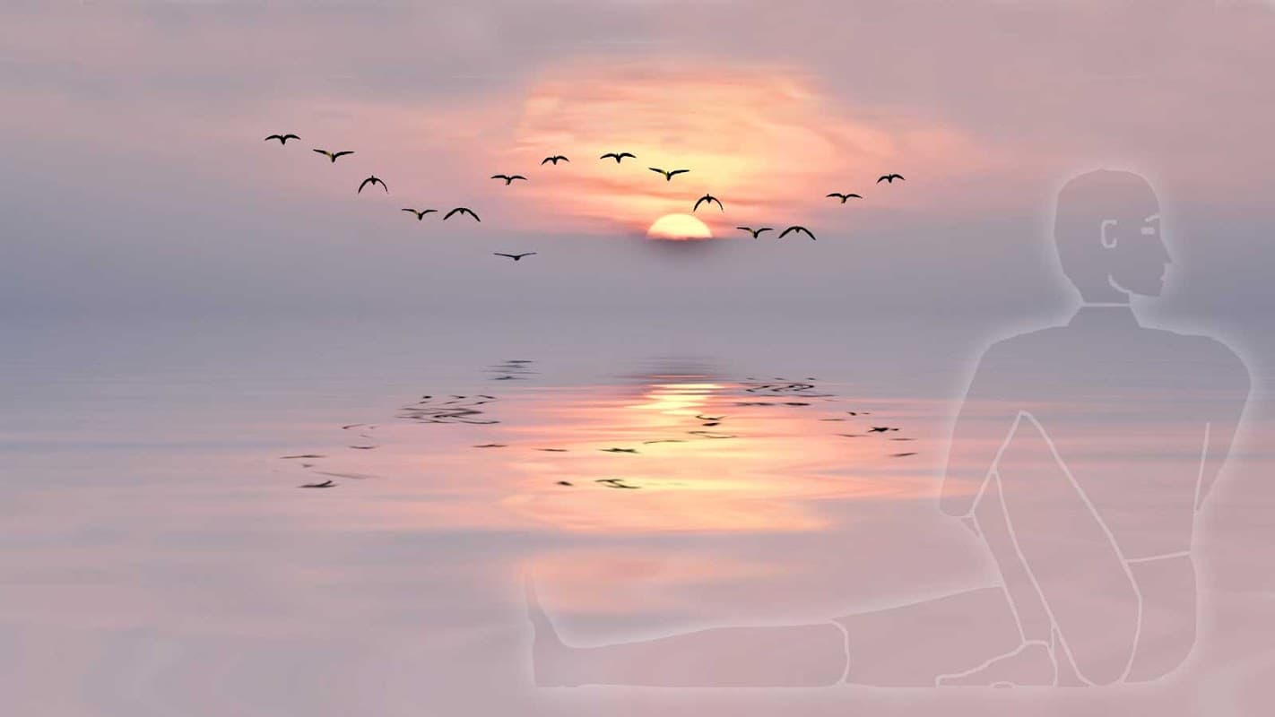 Yoga Harrogate - Yoga Studios in harrogate