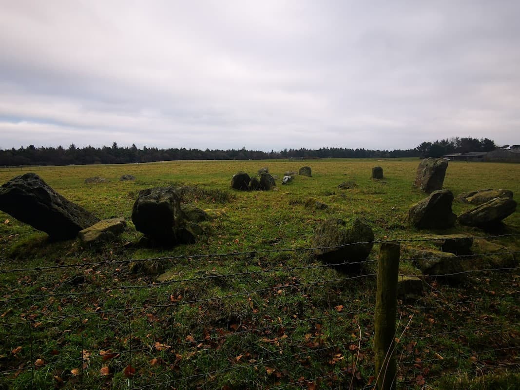 Ancient stone circle surrounded by grassy fields and trees under a cloudy sky in Harwood Dale, Yorkshire.