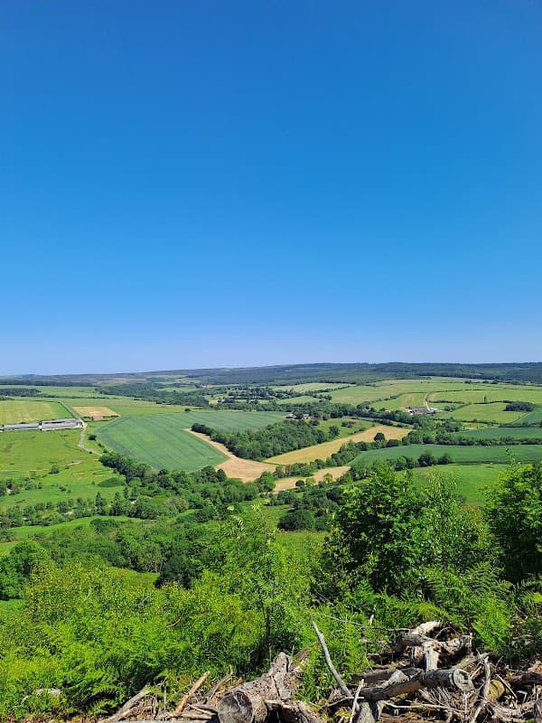 Vast green fields and trees under a clear blue sky, with rolling hills in the distance.
