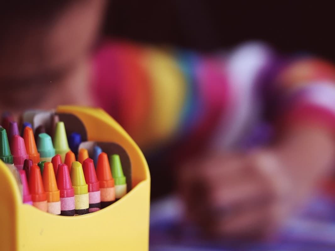 Dalesplay - Nurseries in hawes