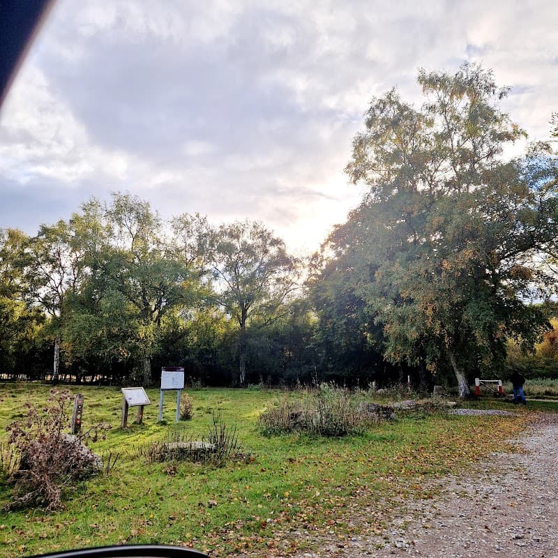 Car park surrounded by trees and grassy areas, with information boards and scattered fallen leaves.