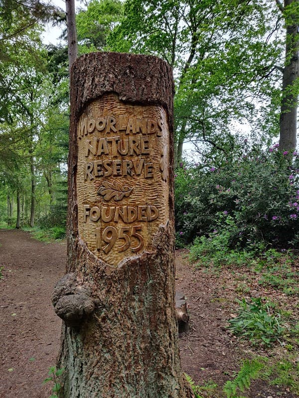 YWT Moorlands Woodland Nature Reserve - Nature Reserves in haxby