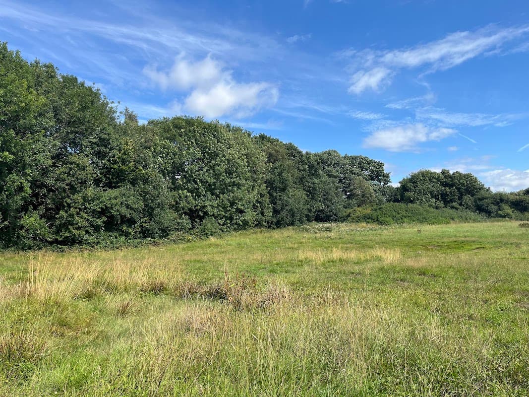 Swales's Horse Chestnut - Historic Site in headingley