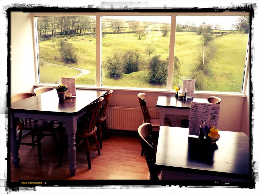 Cozy tea room with wooden tables, chairs, and large windows showcasing green hills and a winding path outside.