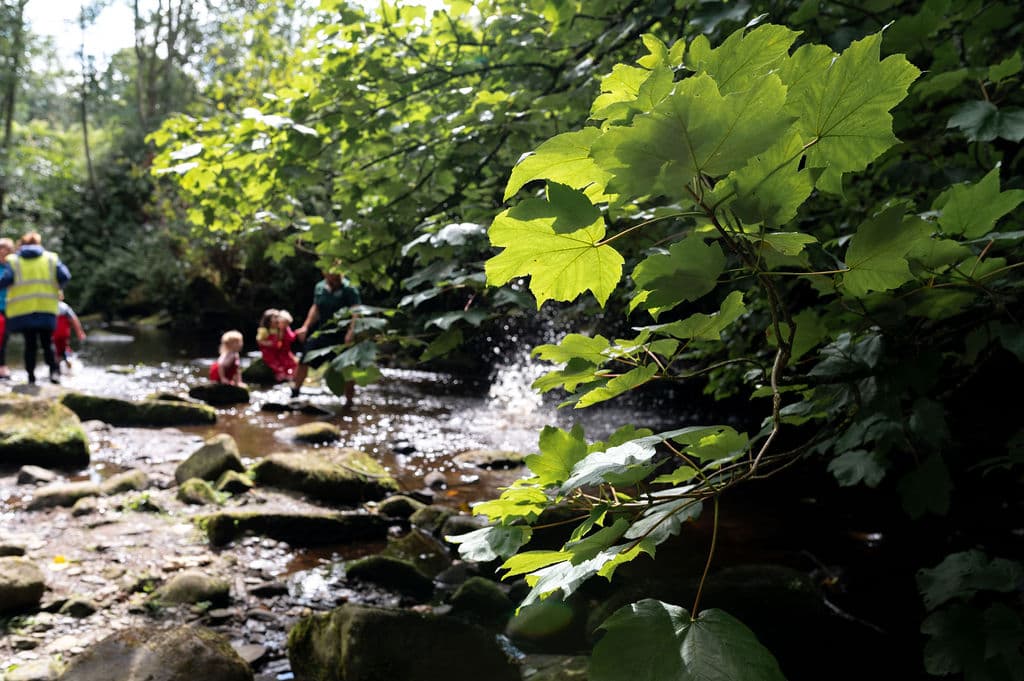 The Ark Nursery and Space Out-of-school Club - Nurseries in hebden bridge