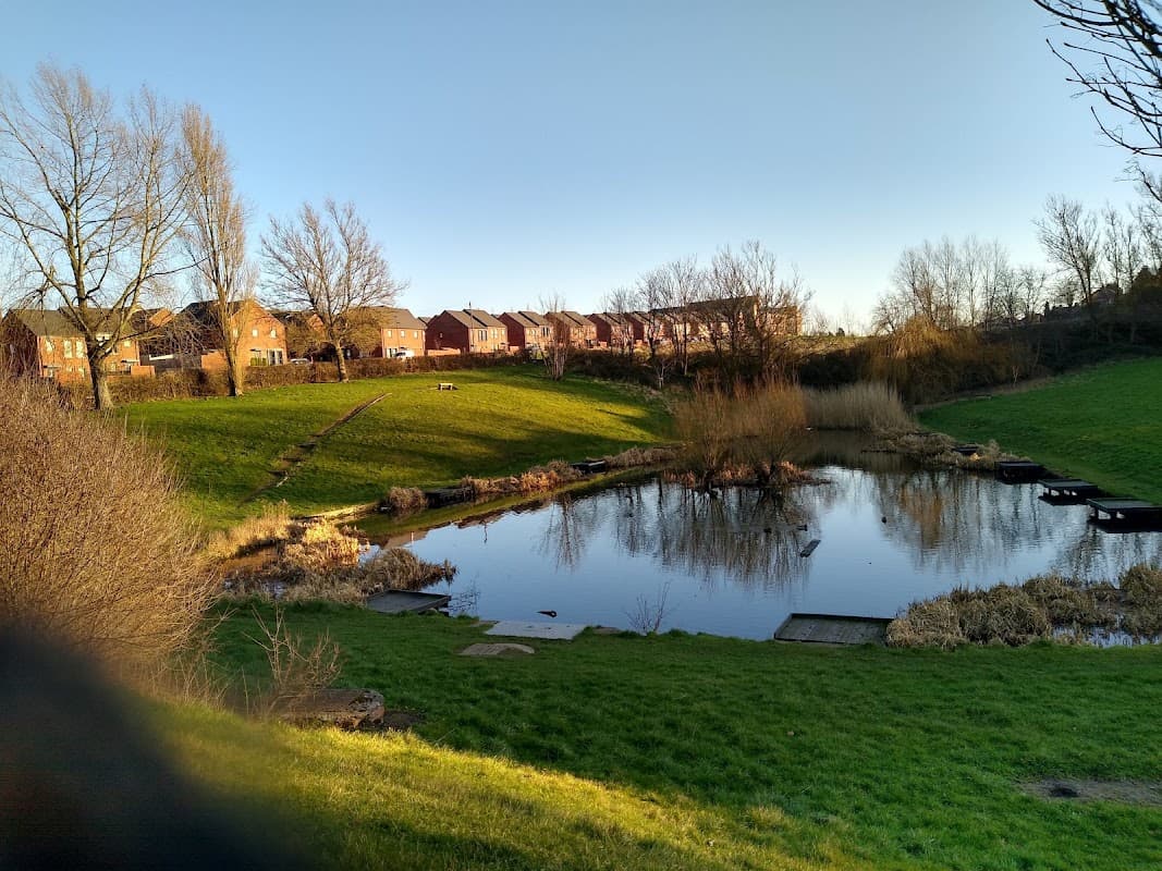 Arbourthorne Pond - Park in heeley