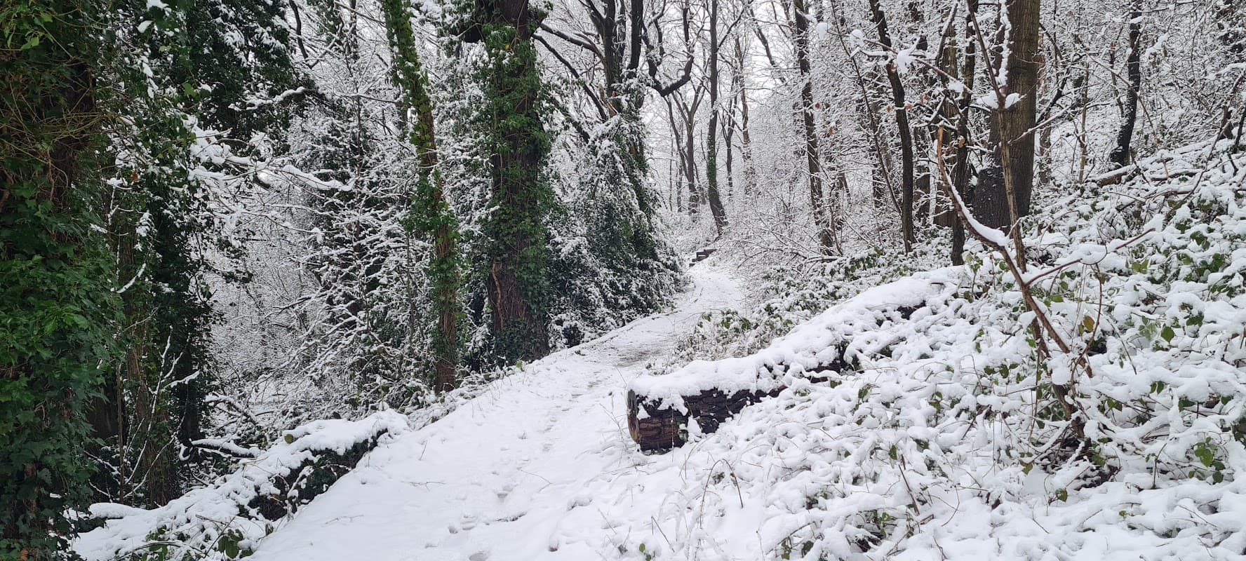 Black Bank Open Space - Park in heeley