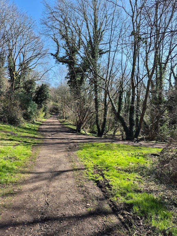 Cat Lane Wood - Park in heeley