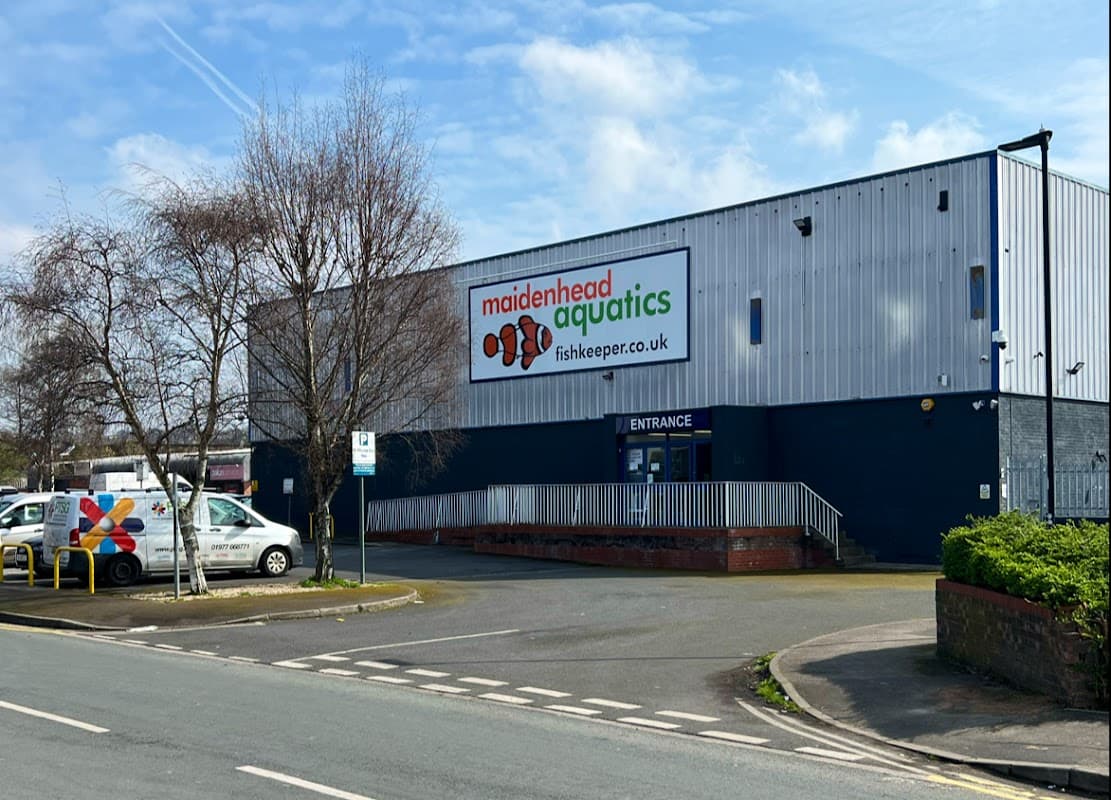 Maidenhead Aquatics Sheffield - Pet Shops in heeley