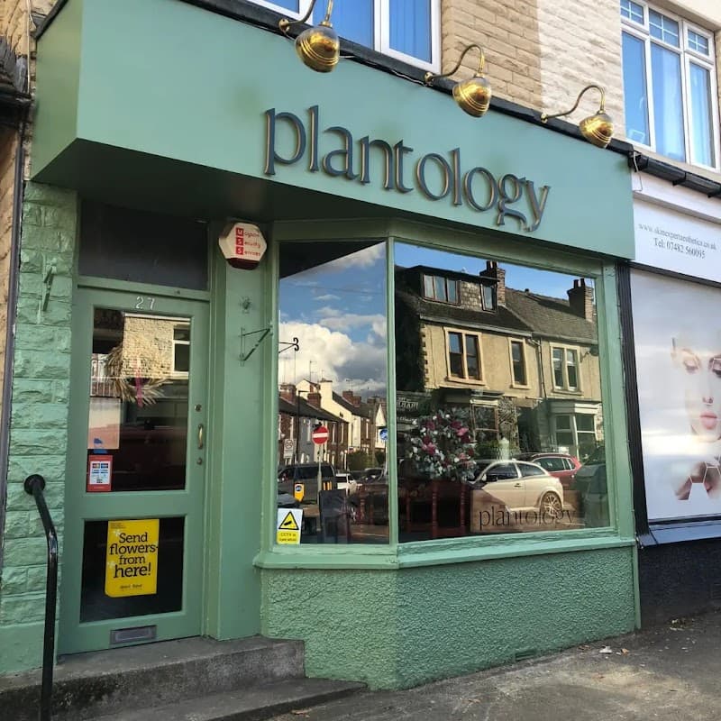 Plantology on the lane