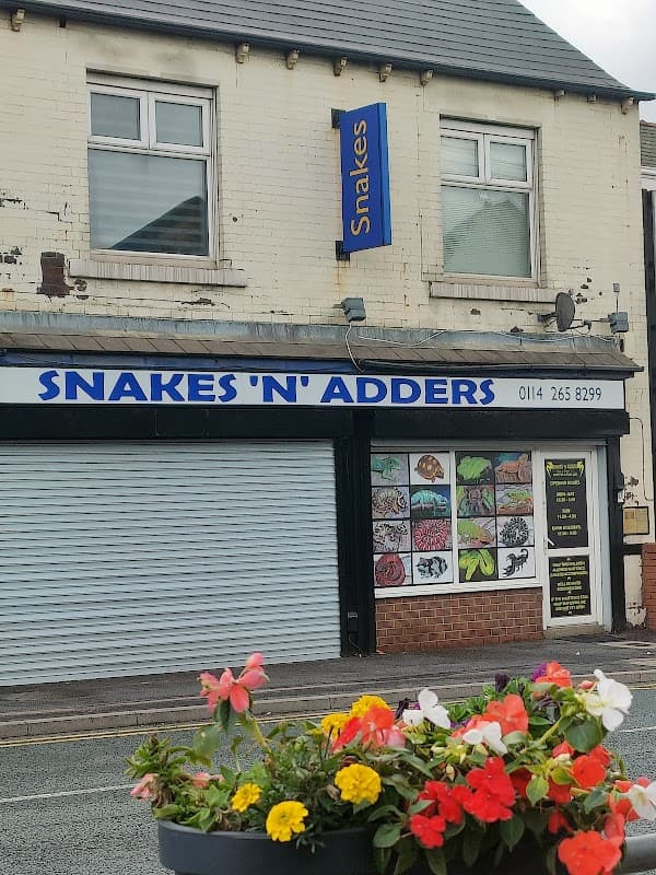 Snakes N Adders - Pet Shops in heeley