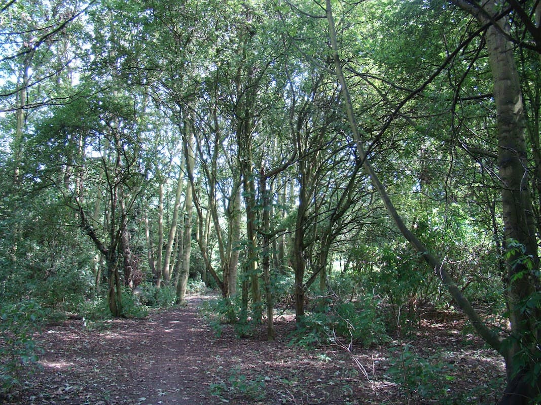 Anlaby Woods - Park in hessle