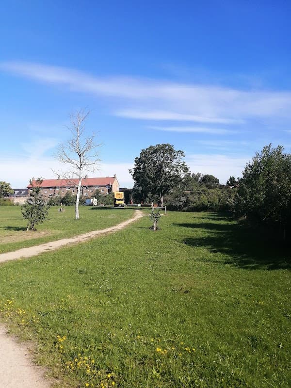 Dragon Park - Park in hessle