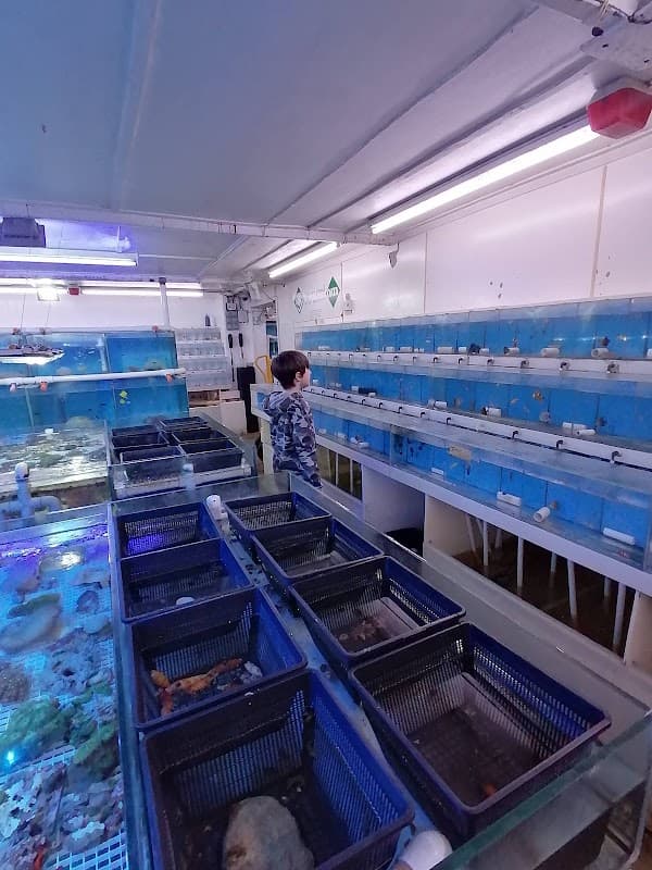 K K C - Pet Shops in hessle