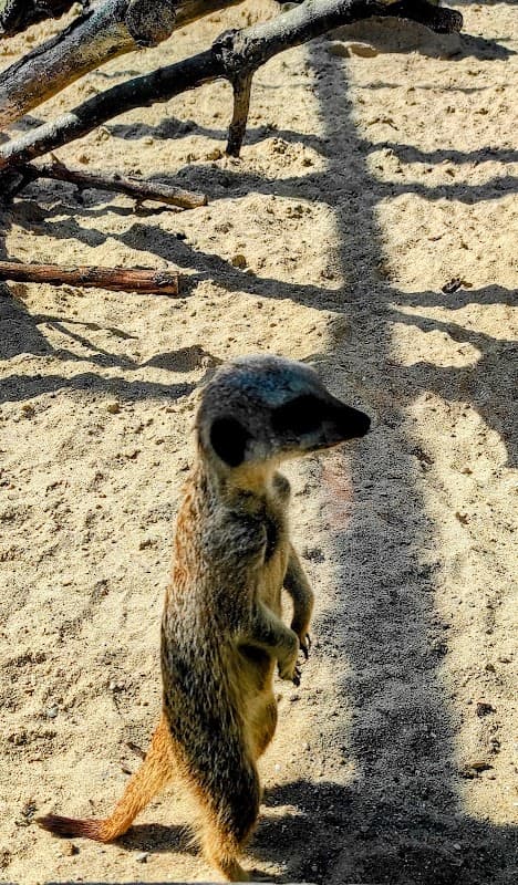 Pickering Park Aviary - Zoos in hessle