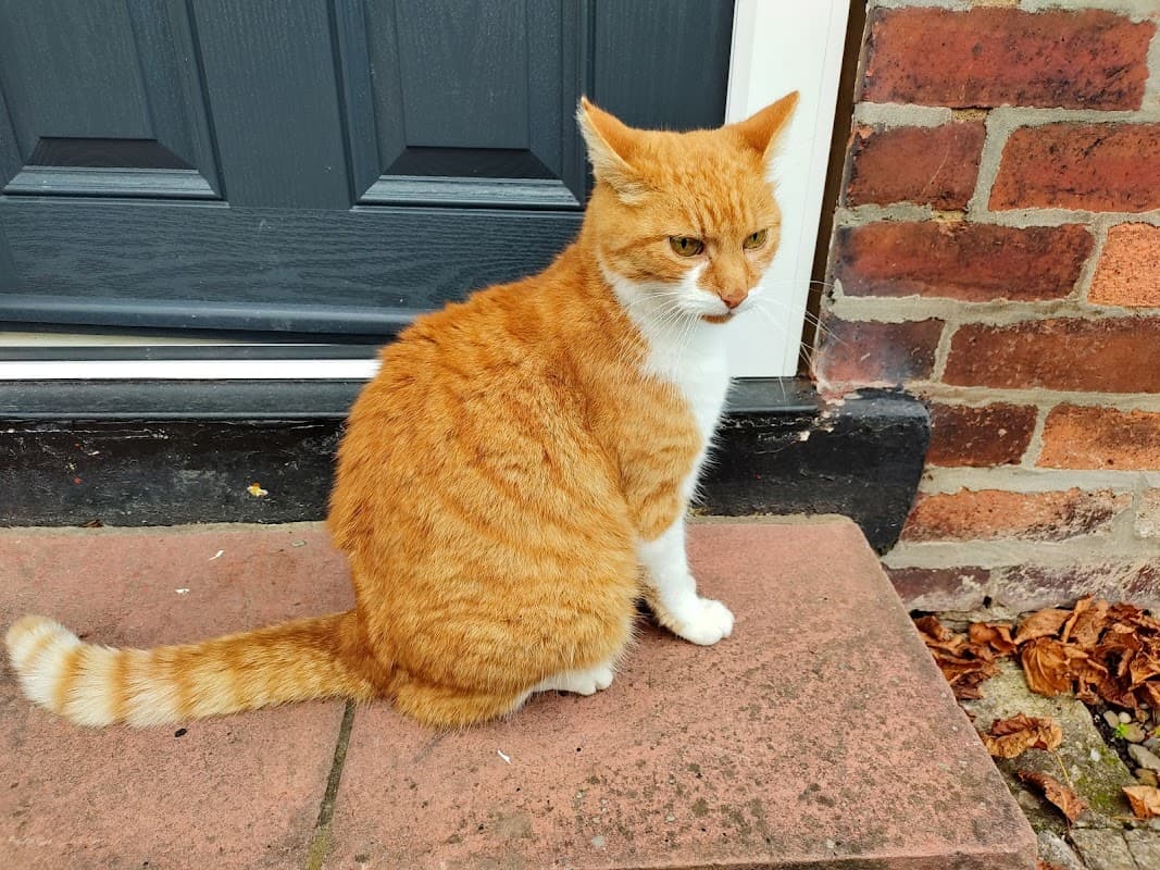 Jai's (Tent) - Nightclub in heworth