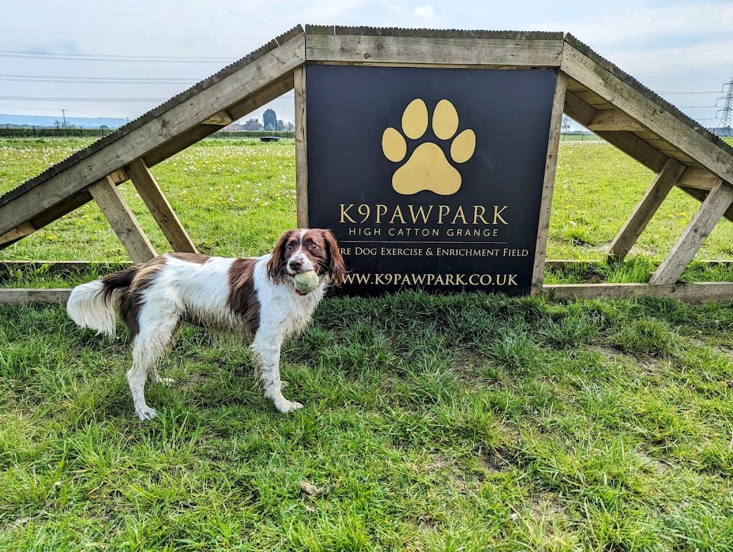 A dog stands beside a wooden sign for K9PAWPARK, featuring a paw print logo and green fields in the background.