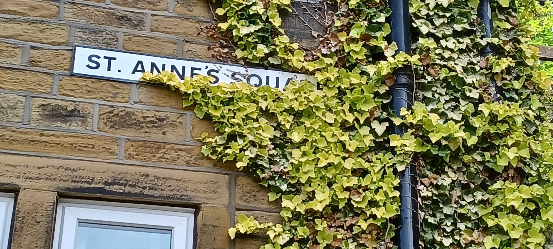 Yorkshire's Finest Ltd