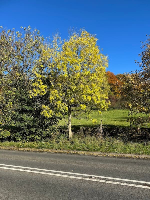 Old Mytholmbridge Viaduct - Historic Site in holmfirth