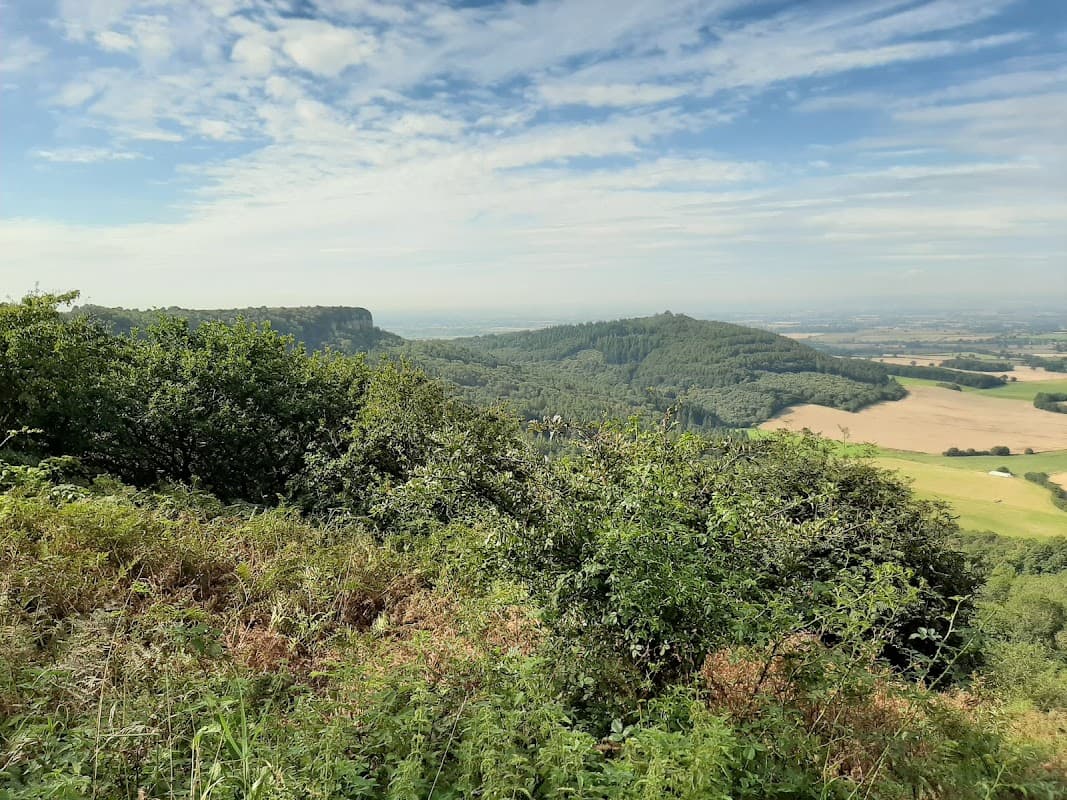 Lush green hills and valleys under a blue sky with scattered clouds, showcasing the natural beauty of Hood Grange, Yorkshire.