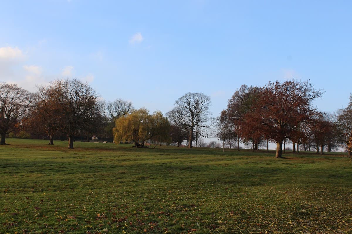 Lush green park with scattered trees, some bare and others with autumn foliage, under a clear blue sky.