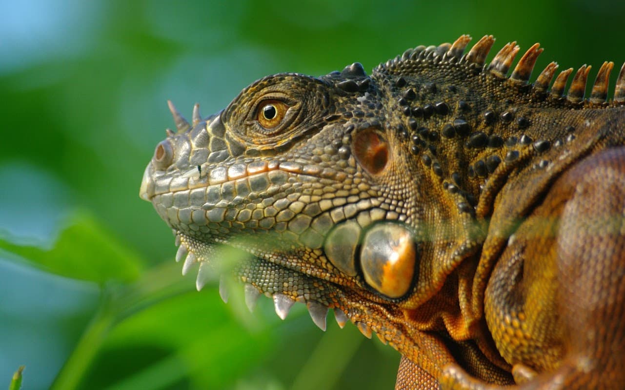 Bugtopia Hornsea Zoo - Zoos in hornsea