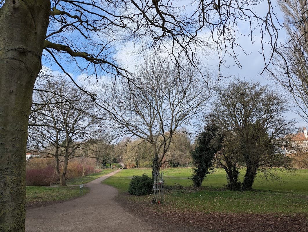 A winding path through Hall Garth Park, lined with bare trees and lush greenery under a partly cloudy sky.