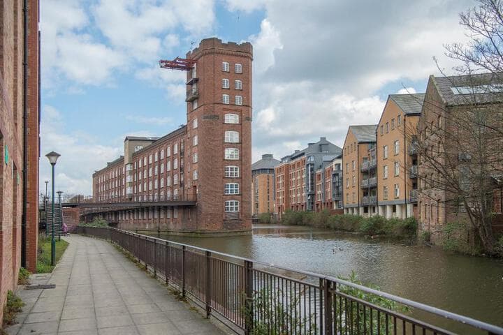 ChocoLets - The Yorkie Suite