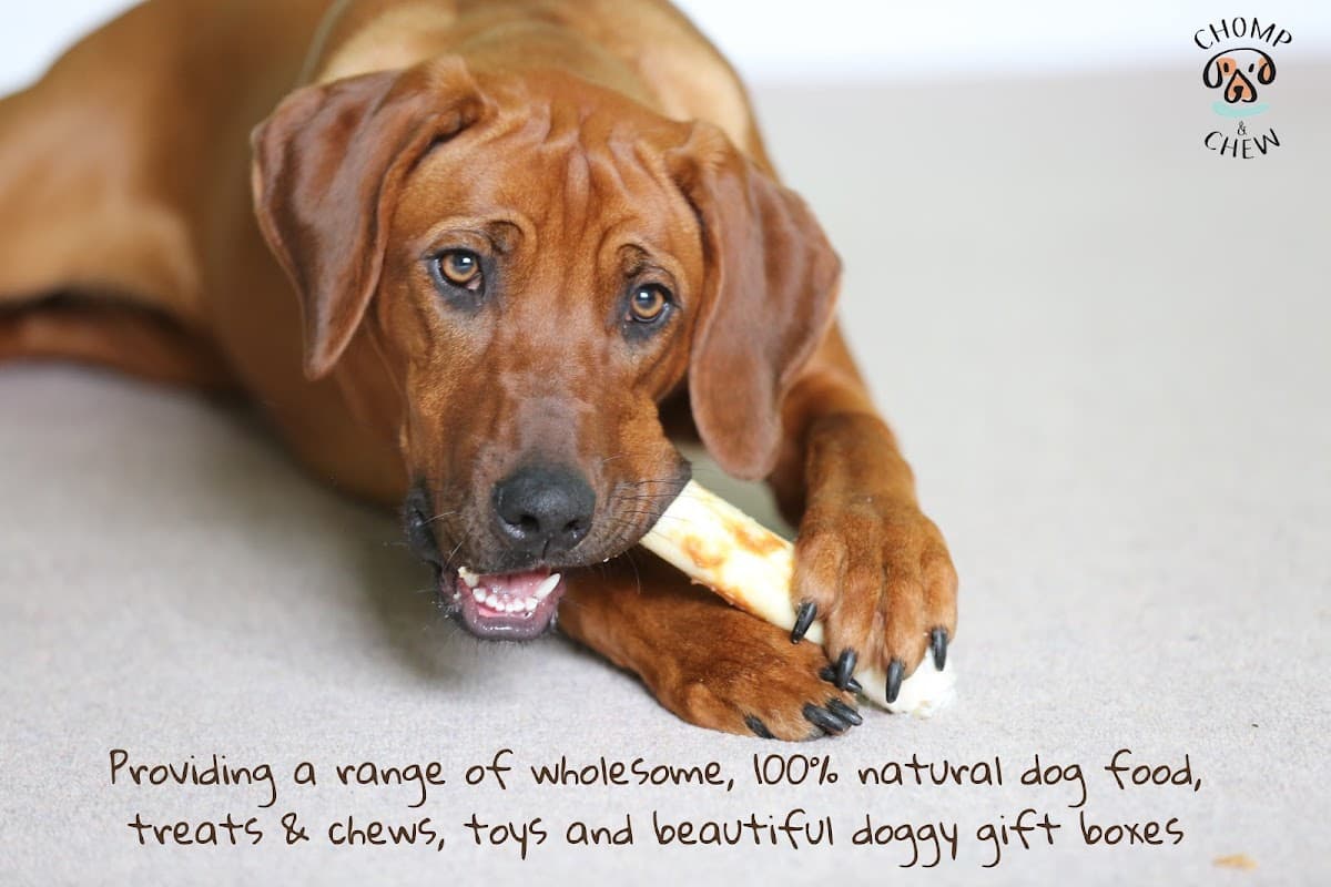 Chomp and Chew Limited - Pet Shops in huddersfield