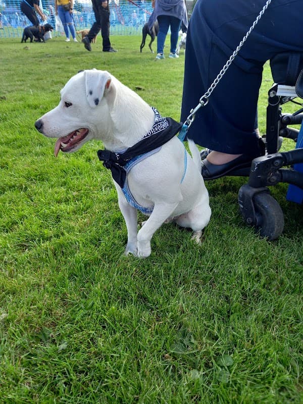 Focal Community Centre - Community Centres in huddersfield