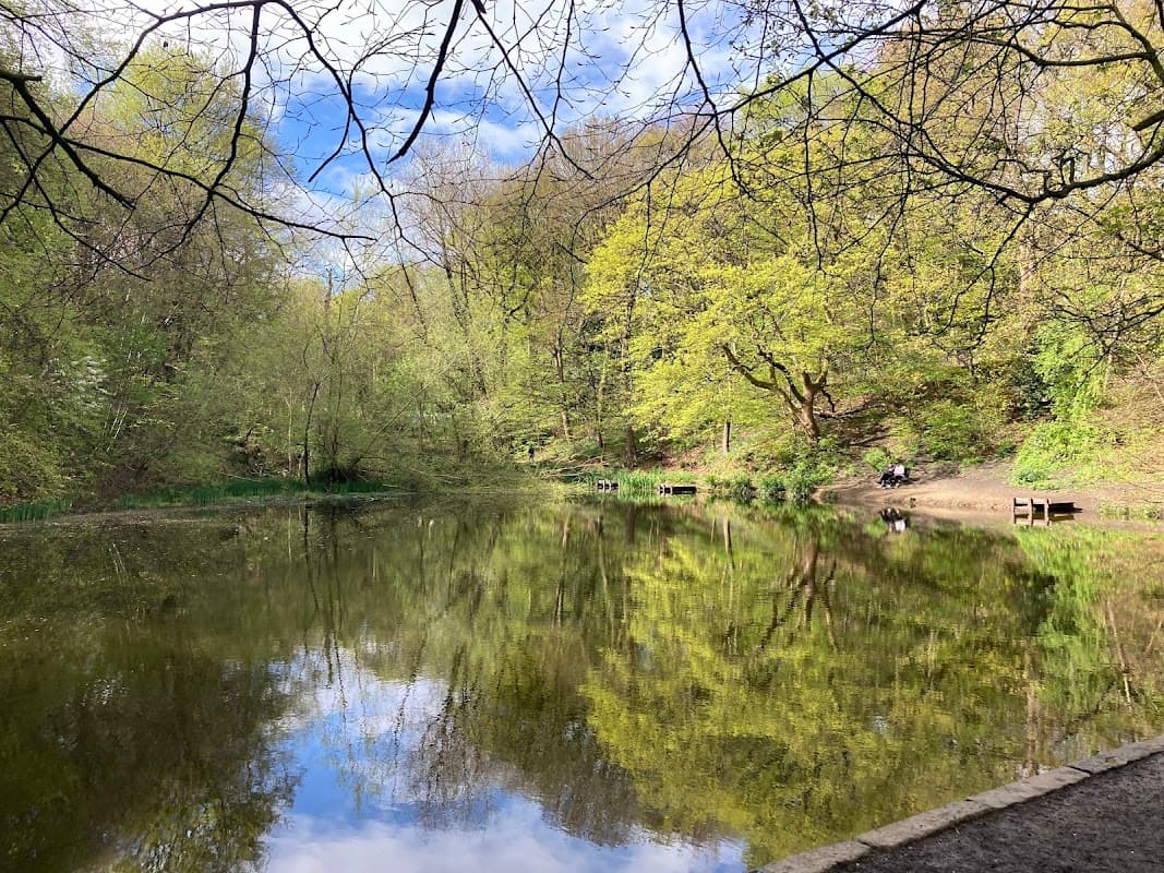 Gledholt Woods - TP Woods - Park in huddersfield