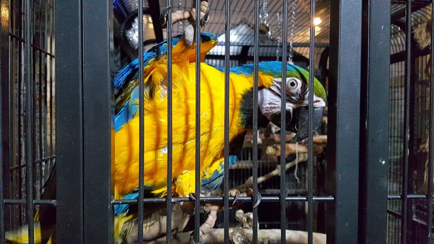 Shelly's Pet Shop - Pet Shops in huddersfield