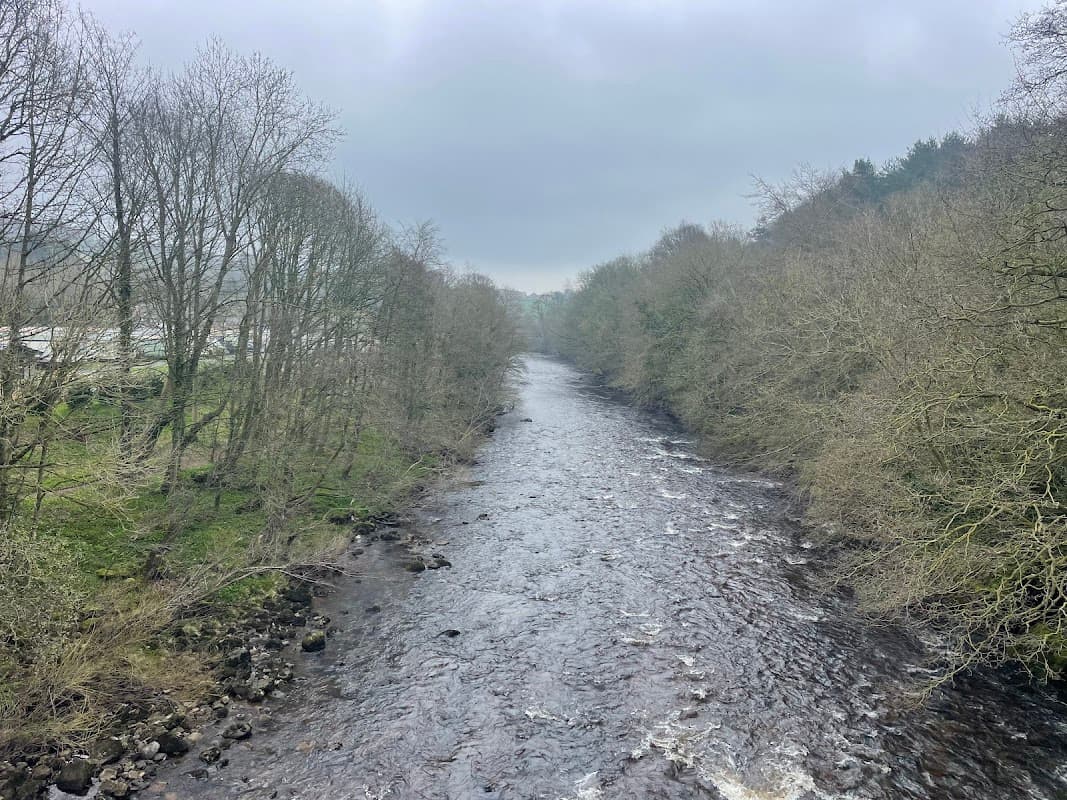 A winding river flows through a wooded landscape under a cloudy sky in Hudswell, Yorkshire.
