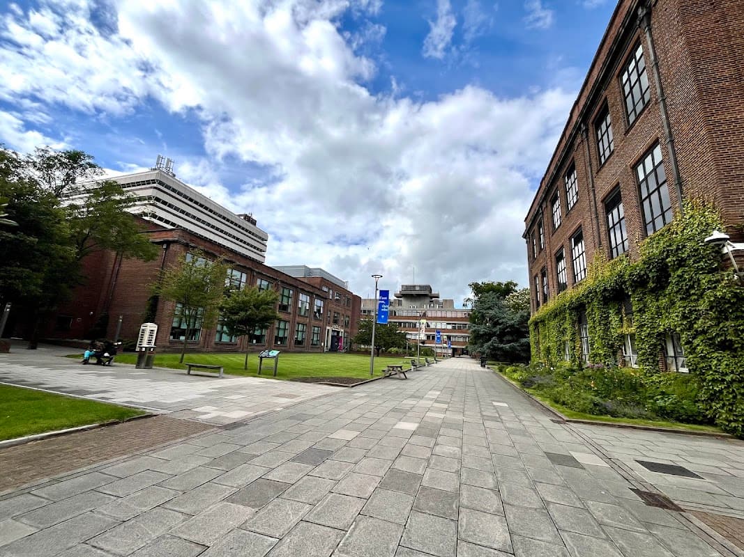 Brynmor Jones Library - Libraries in hull