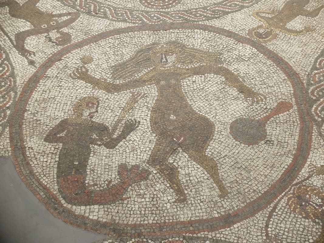 Hull & East Riding Museum - Museum in hull