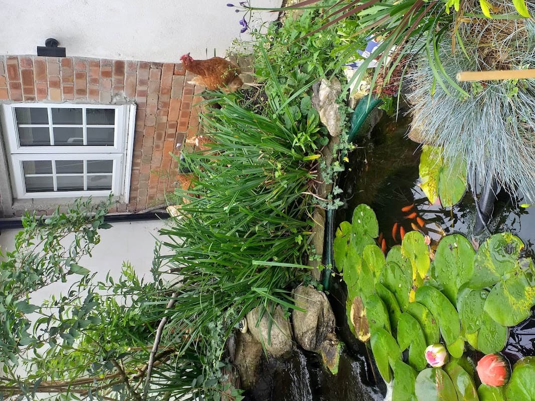 Accommodation at Jesmond House Vegan B&B in hull