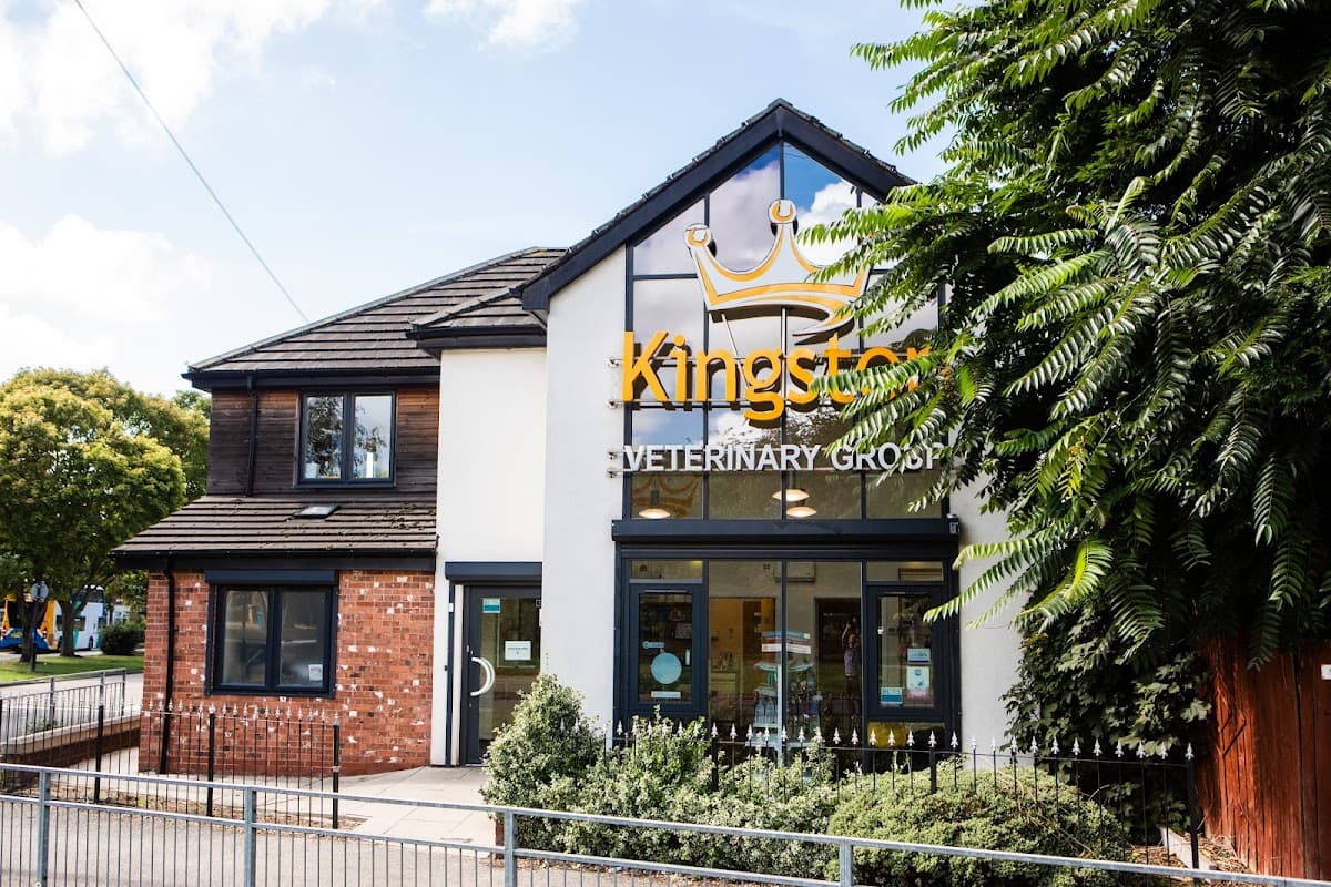 Kingston Veterinary Group - Holderness Road - Vets in hull