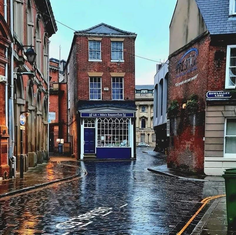 Lili + Mila's Empawrium - Pet Shops in hull