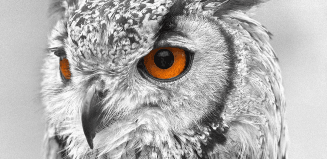 Linguards Accountants - Accountants in hull