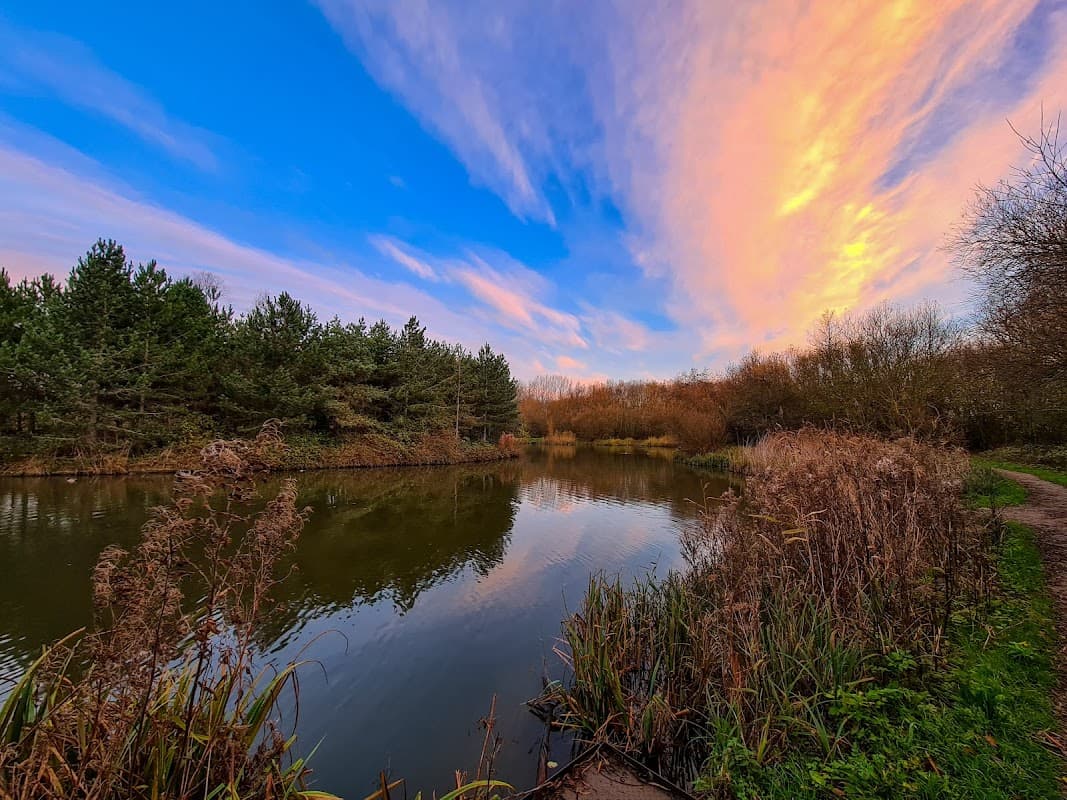 Noddle Hill Way Nature Reserve - Nature Reserves in hull