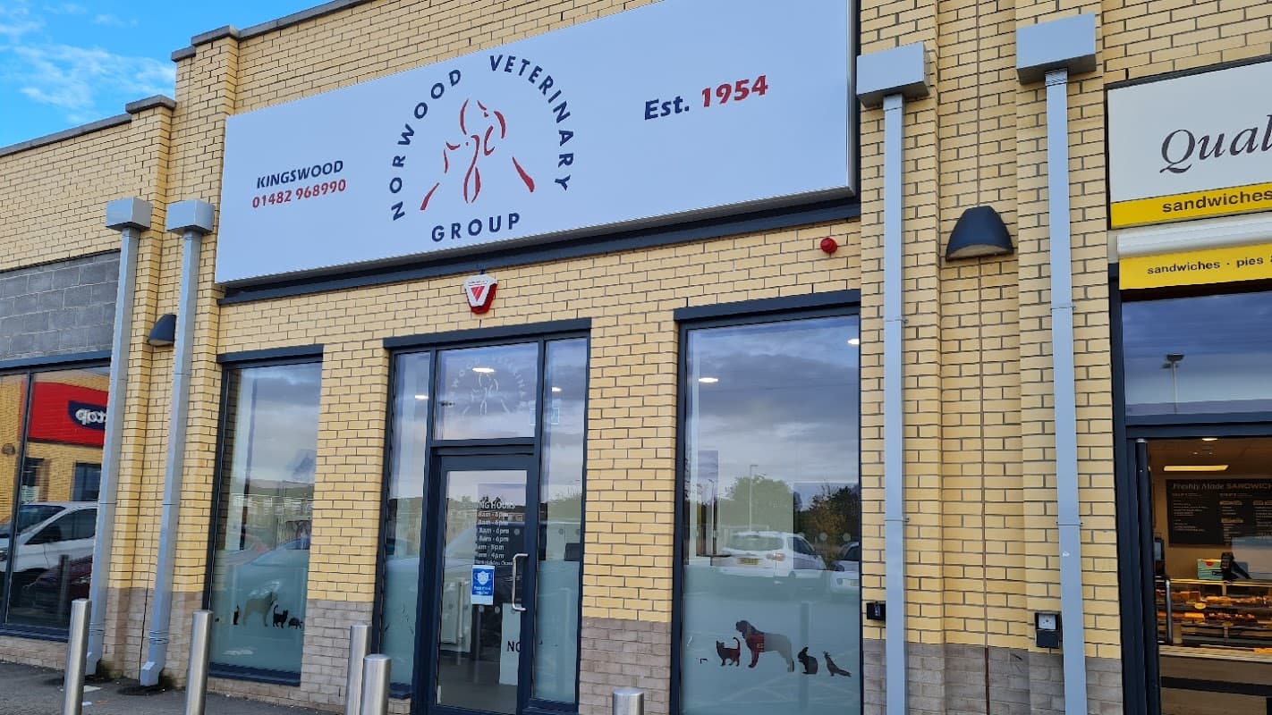 Norwood Veterinary Group Kingswood - Vets in hull