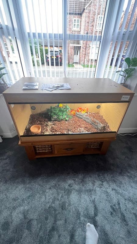 The Exotics Hub - Pet Shops in hull