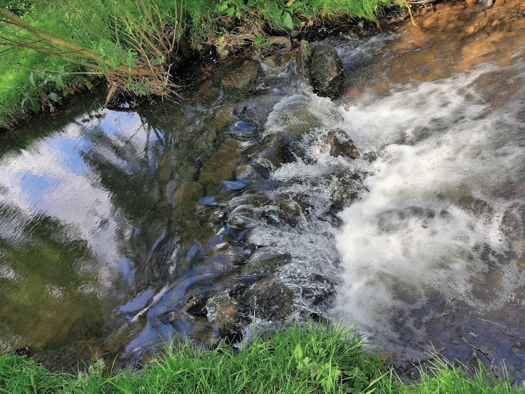 Clear water flows over rocks, surrounded by lush green grass and trees, reflecting the sky above in Hunton Village.