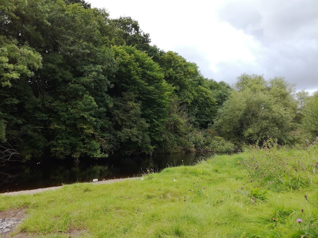 Lush green trees line a calm riverbank, with grassy areas and wildflowers in a serene natural setting.