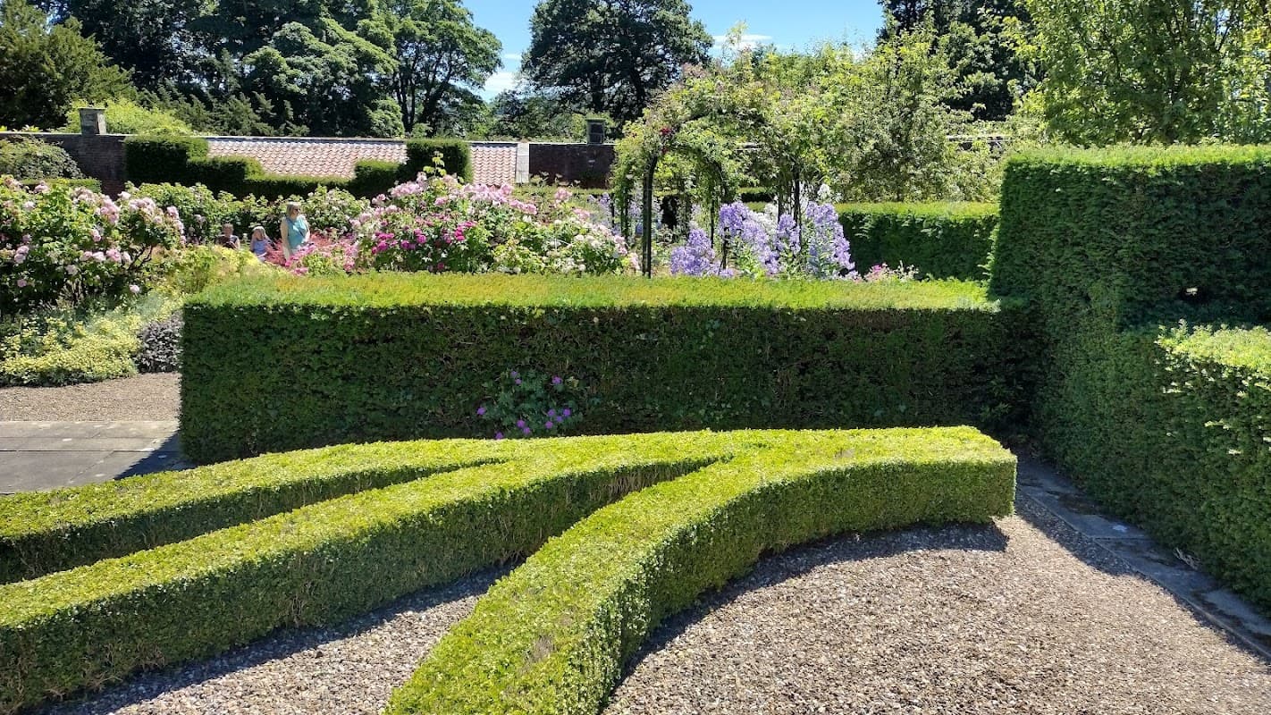 Lush green hedges curve through a colorful garden filled with blooming flowers under a clear blue sky.