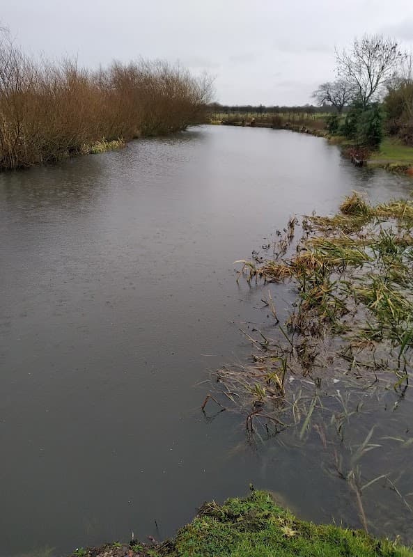 Serene pond surrounded by bare trees and grassy banks under a cloudy sky in Hutton Rudby, Yorkshire.
