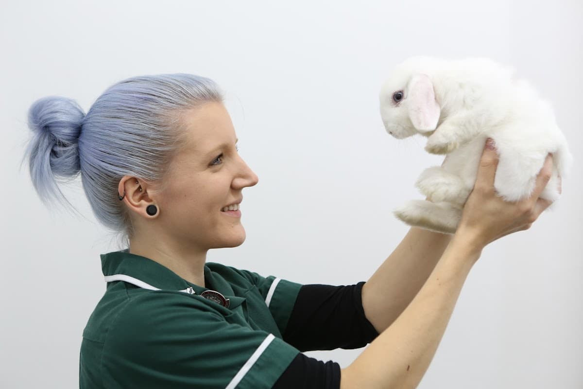 Ashlands Veterinary Centre, Ilkley - Vets in ilkley