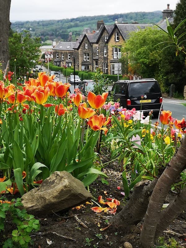 Bus Stop at Cowpasture Road - Bus Stops in ilkley