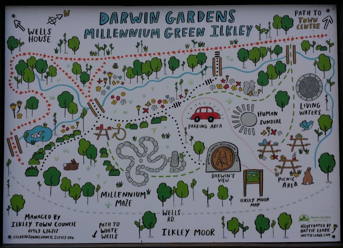 Darwin Gardens - Garden in ilkley