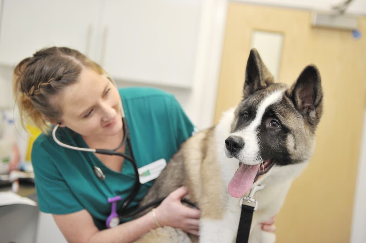Holly House Veterinary Clinic - Vets in ilkley
